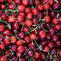 اجاره محصولات کشاورزی(میوه)به بالاترین قیمت