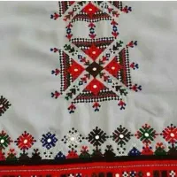 پلیوارمیدوزم