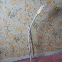 رینگ‌ لایت واگذاری
