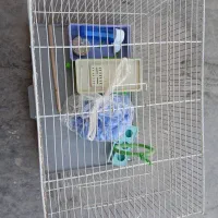 قفس پرنده با متعلقات