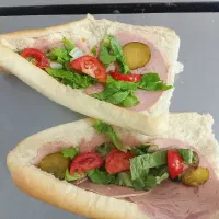 فروش عمده ساندویچ سرد کالباس ویژه ویزیتور