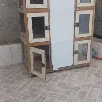 قفس کبوتر
