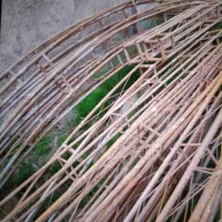 سازه گلخانه