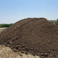 کود گوسفندی وگاوی