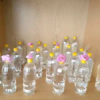 گلاب ارگانیک ناب