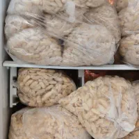 باقالی کشاورزی