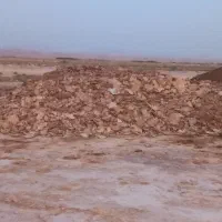 دو باره تریلی