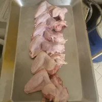 بال و کتف دو تکه