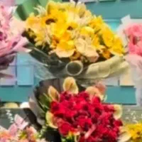 رز هلندی با کیفیت بالا فقط شاخه ای ۲۵هزار تومان