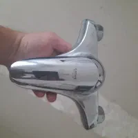 شیر دوقلو حمام