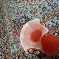 گلدان|گل و گیاه طبیعی|بهبهان, |دیوار