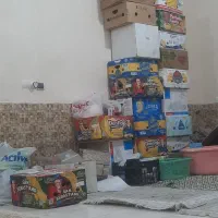 کارتن موز