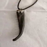 فروش تو گردنی شاخ