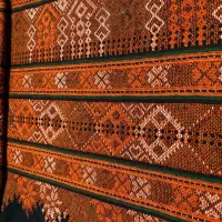 کلیکسیون کش میدوزم