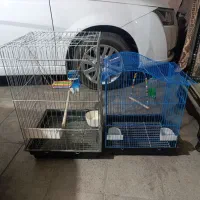 قفس پرنده