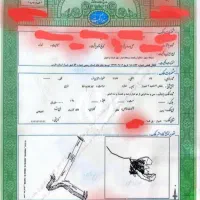 زمین ۳۰۰ متری جنب کارخانه رنگ توپ شیراز