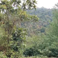 زمین کشاورزی ورودی روستای قنات اباد کارزان