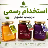 کارشناس فروش حضوری (ظرفیت محدود ۷ نفر)