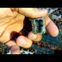 انگشتر شجر تک درخت