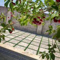 فروش-باغچه-باغ-دامداری-باغ-ویلا