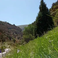 تور طبیعت گردی