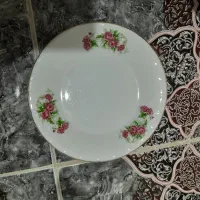 پلوخوری|آب‌چکان و نظم‌دهنده ظروف|نظرآباد, رسالت|دیوار