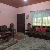 پرده  گیپور کتان 4 عدد 130 قد عرض 130 و150 سانتیمت