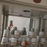 سرویس صبحانه خوری ۱۲ نفره مارک پردیس۴ ملیون
