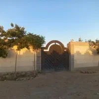 اجاره-گلخانه-در-چهارباغ