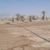 اجاره-زمین-کشاورزی-روبرو-فرودگاه