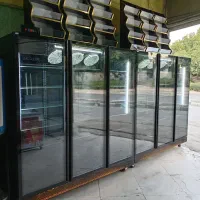 یخچال ایلیا منحصر به فرد