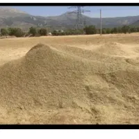کاه کسن گونی گرفته