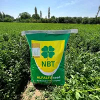 بذر تخم یونجه NBT