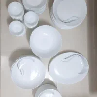 ظروف پذیرایی