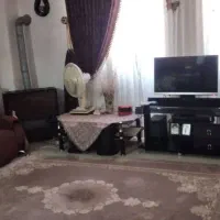 ۵۵ متر سند تمیز شهدا فلسطین پاستوریزه