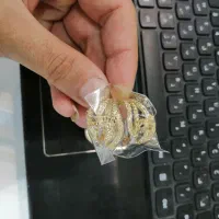حراج انگشتر های طلاروس ضمانتی کیفیت 5 ساله