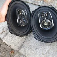 باند طاقچه دیلایت