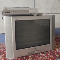 تلویزیون