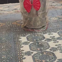 سبزی خردکن نو نو