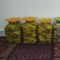 ترشی بیلهر