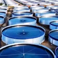ورق ژئوممبران بهترین انتخاب برای استخر خونه باغی