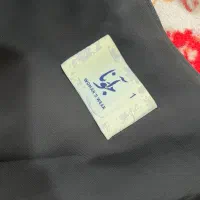 مانتو|لباس|ساری, |دیوار