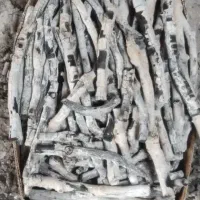 زغال پسته قیلونی