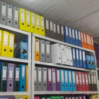 زونکن زرد روشن