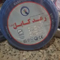سیم رعد کرمان