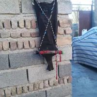 مشک|صنایع دستی و سایر لوازم تزئینی|اسلام‌‌آباد غرب, |دیوار