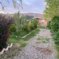 باغچه