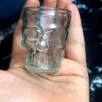 لیوان اسکلتی از دبی اومده