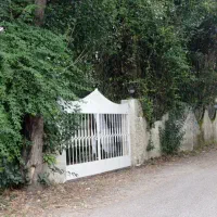 جویای سرایداری