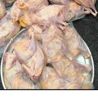 مرغ محلی پاک کرده